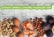 أهم الفيتامينات والمعادن لنظامك الغذائي ما أهم الفيتامينات والمعادن لنظامك الغذائي؟