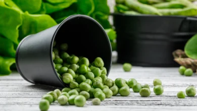 القيمة الغذائية للفاصوليا الخضراء
