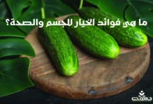 ما هي فوائد الخيار للجسم والصحة؟ ما هي فوائد الخيار للجسم والصحة؟