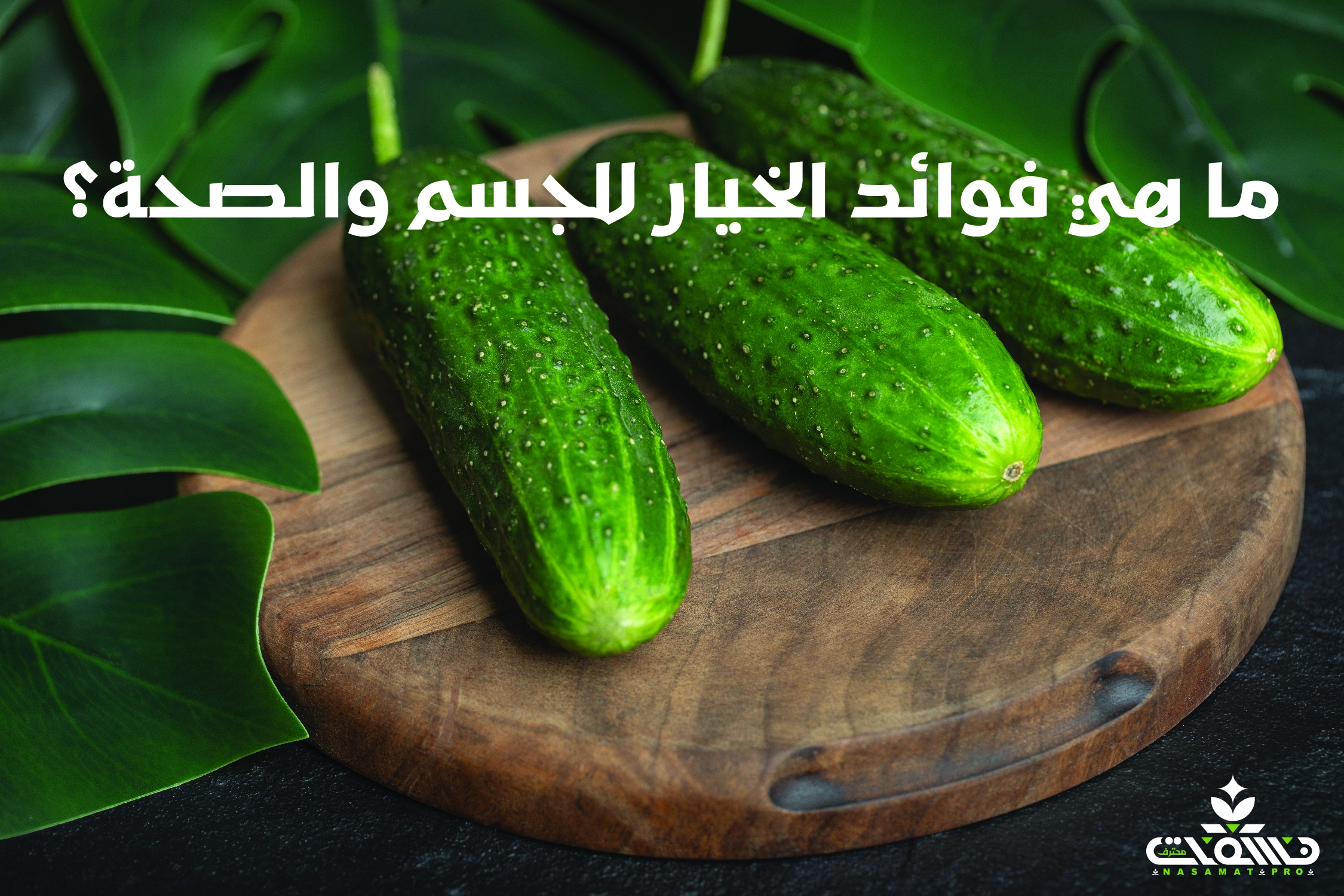 ما هي فوائد الخيار للجسم والصحة؟ ما هي فوائد الخيار للجسم والصحة؟